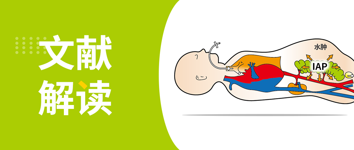 【文獻解讀】腹內(nèi)高壓相關急性腎損傷：從危險因素到可干預靶點的證據(jù)鏈